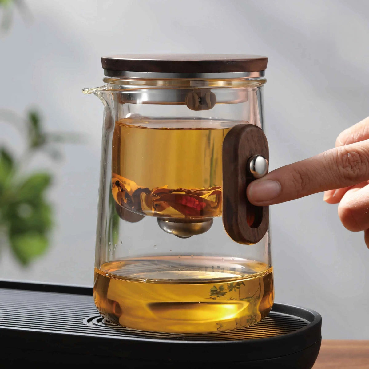 Travel Glass Tea Set | Built-In Strainer, Hard Carry Case